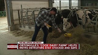 We're Open Detroit: Dairy farm beating the odds of COVID-19's industry impact