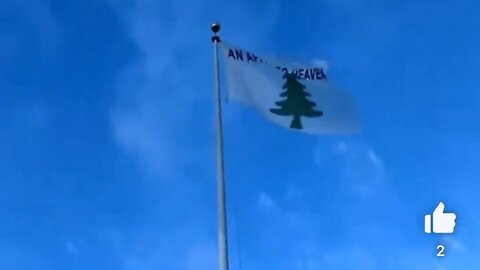 Dastardly Insurrectionists Everywhere: San Francisco Flies 'An Appeal To Heaven' Flag Over City Hall