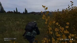 Ducking and diving in DayZ