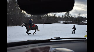 Skijoring at Moneypit Farm 1-17-21