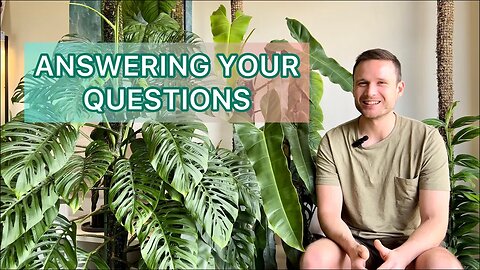Q&A #3 - cleaning leaves, buying wet sticks, a little more about myself etc.