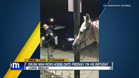 Drunken-man rides horse on 91 freeway in Long Beach