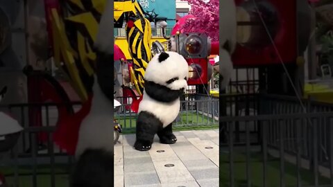 Funny panda and bear cute haha 🐼 youtubeshorts viral around me shorts shorts 38