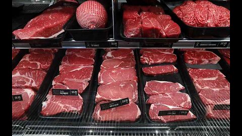 Florida's Lab-Grown Meat Ban Faces Federal Lawsuit