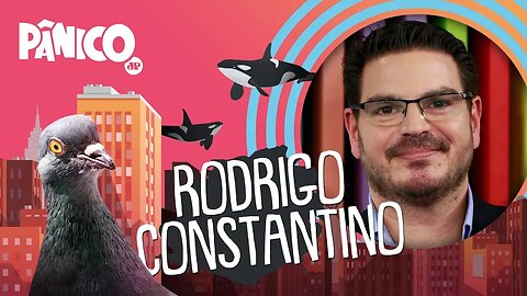 Rodrigo Constantino | PÂNICO - 05/02/2020