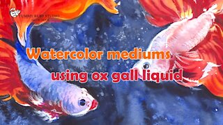 How to use watercolor medium: ox gall liquid for Siamese fighting fish painting