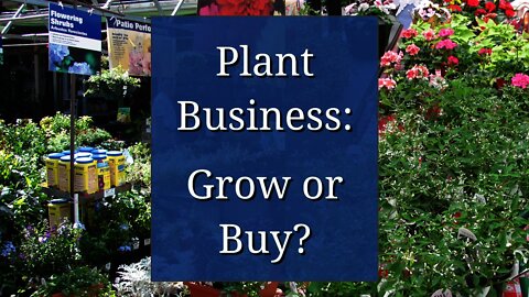Nursery Business: Grow or Buy? - Plant reselling