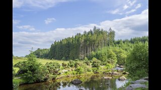 Hiking through Belever forest. Dartmoor. GoPro speedlapse