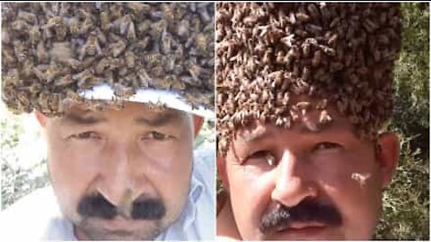 Hai mai visto qualcuno con la testa ricoperta di api?