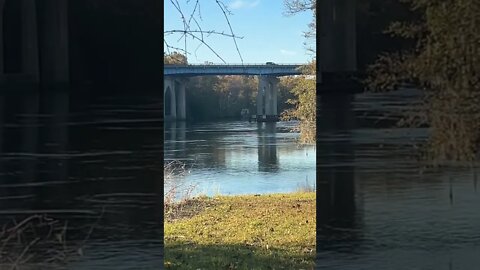 The Tailrace Canal Moncks Corner, SC