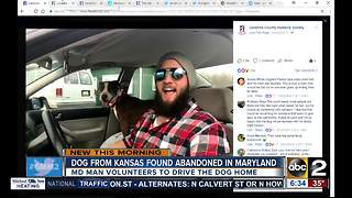 Maryland man drives to Kansas to return abandoned dog