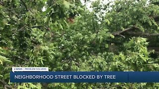 Tree Blocks Road