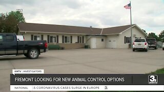 Fremont looks for new animal control providers after investigation of Dodge County Humane Society