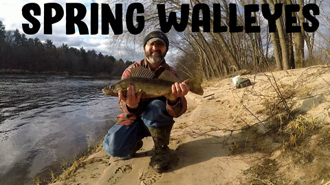 Spring Walleyes