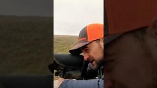 Best Way To Sight In A Rifle!