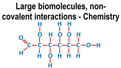 Large biomolecules, non-covalent interactions - Chemistry