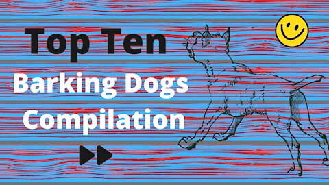 Top 10 Barking Dogs Compilation