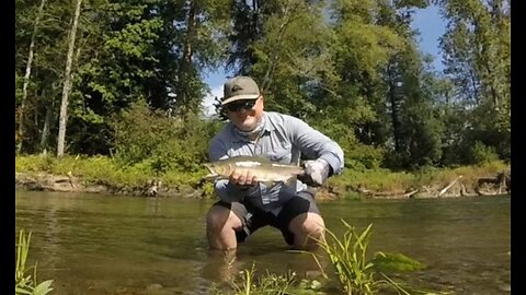 Pink Salmon Fly Fishing