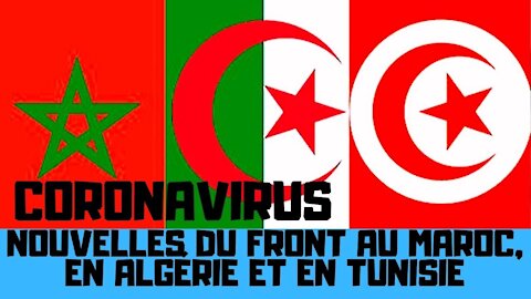 Coronavirus : nouvelles du front en Algérie, au Maroc et en Tunisie.