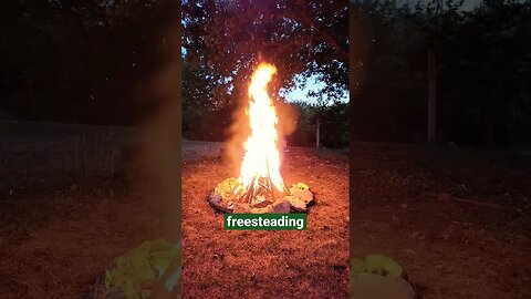 #Freesteading #hunting #fire