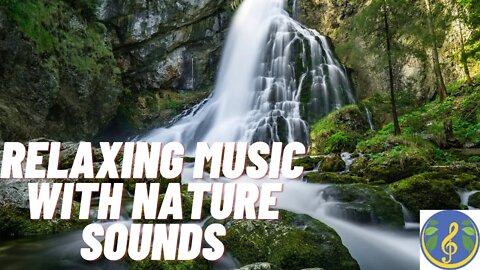 Relaxing Music with Nature Sounds, Forest Music, Sleep Music, Meditation Music