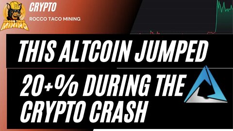 This Altcoin Just Jumped 23% During the Crypto Crash