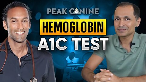 Canine Health: A1C Testing for Dogs | Peak Canine
