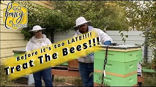 Treat The Bees!!!! Before it is TOO LATE!!!!!