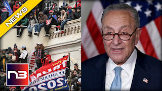 IT BEGINS: Schumer Sets up Vote in the Senate for Most Pathetic Bill of Our Time