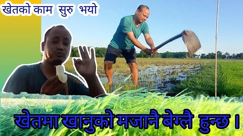 खेतको काम गर्दा छुट्टै मजा ।किसानको छोरो कहिले हार मन्दैन#kisankochhoro #dailyvlog #sjmix1M