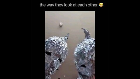 How to cover yourself with aluminium foil quickly 🤣