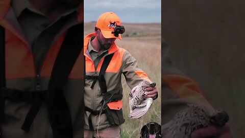 Early Season Prairie Grouse Hunting