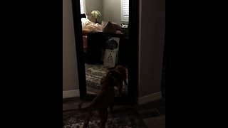 Penny sees herself in the mirror, attacks her reflection