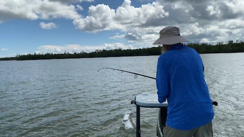 Everglades Tarpon fishing Fall 2021 volume 1