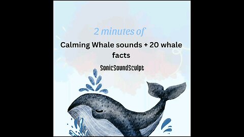 2 minutes of calming whale sounds.