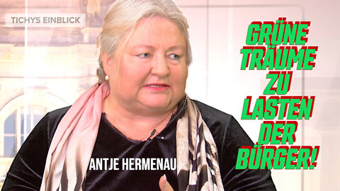 Antje Hermenau bei Tichys Einblick Talk: Grüne nehme Bevölkerung in Haft für ihre Träume