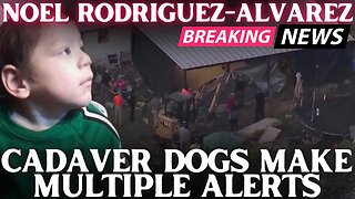 Multiple Alerts from Cadaver Dogs at Residence of Missing Everman Boy Noel Rodriguez-Alverez