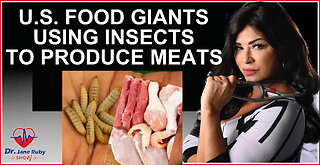 U.S. FOOD GIANTS USE INSECTS IN REAL MEAT PRODUCTS