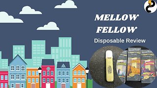 Mellow Fellow Disposable Review