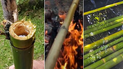 8 Different Ways To Treat Bamboo