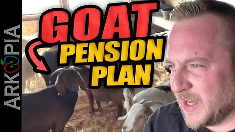 G.O.A.T. Pension Plan - Better than Canada Pension Plan🥴 - Greatest Of All Time - Outside the box.