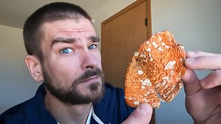 Eating Siberian Amanita Muscaria Mushroom Before Nature Walk! (MN Nice Botanicals)