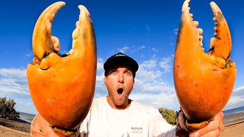 GIANT CRAB Catch and Cook - BOW n ARROW vs FISH