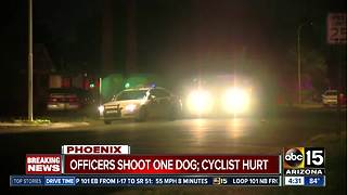 Bicyclist attacked by dogs in Phoenix