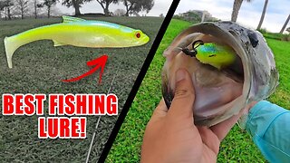 The Fishing Bait You NEED... (Best Fishing Lure)