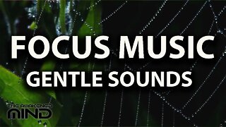 Ambient Focus Music for Learning With Gentle Rainfall & Music