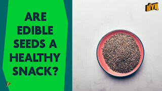 Top 3 Super Healthy Seeds You Must Eat Every Day