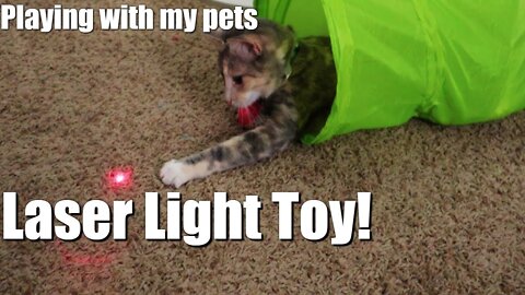 Cat Vs Laser Pointer - My Funny Mon Cat Chases Laser Pointer