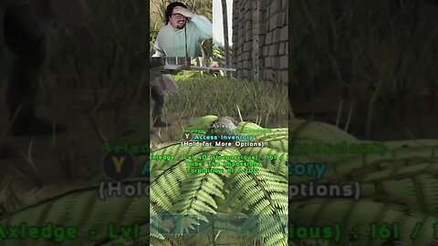 #shorts What are the chances lol #arksurvivalevolved #arksurvivalevolvedgameplay #arksurvival