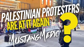 BREAKING Palestine protesters in New York City, Brooklyn Bridge and more closed down